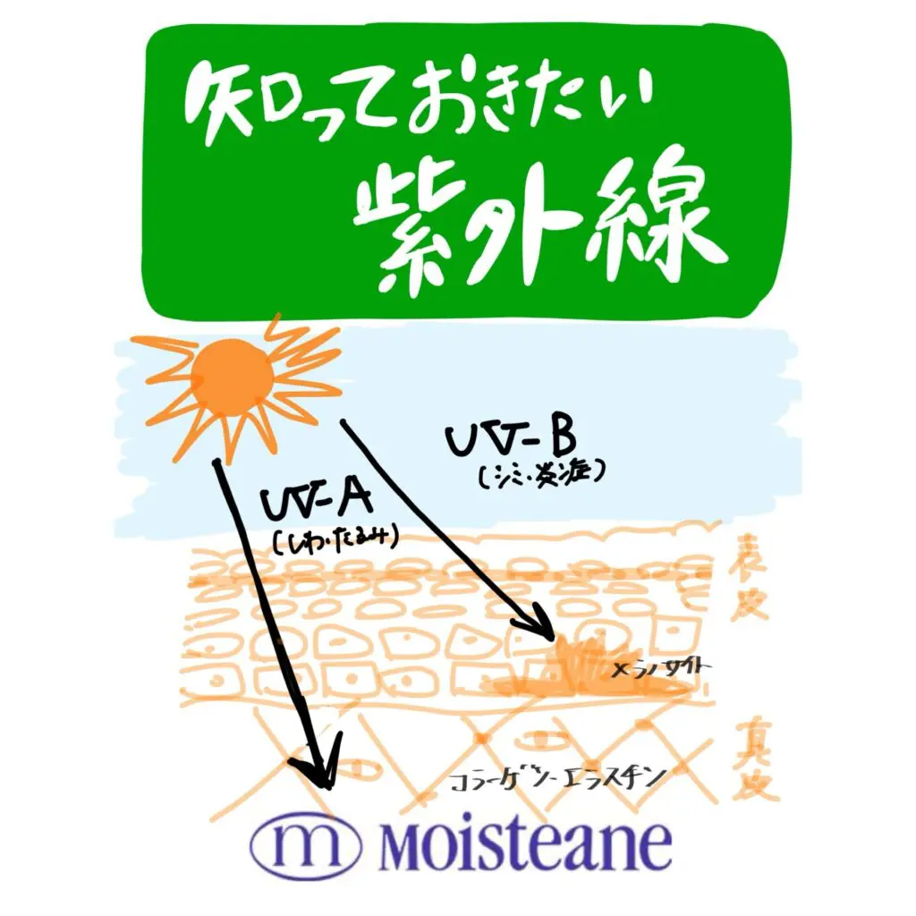 429449E2-B8FC-4033-8546-